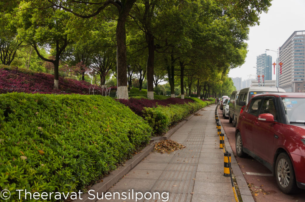 Garden on the Xiang River side, Changsha, Hunan, China