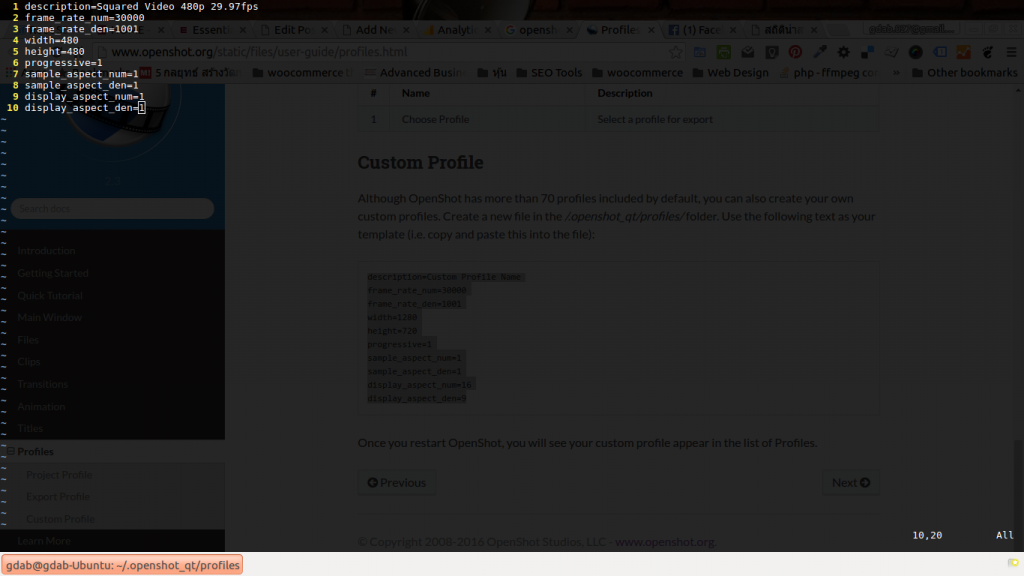 Create Video Profile file for Openshot 2.3.4