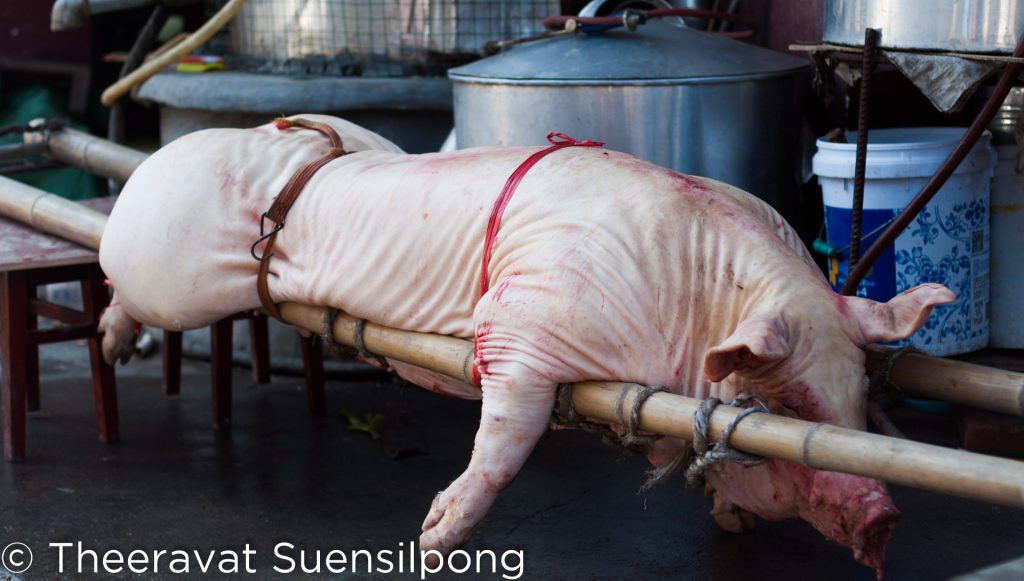 เดินผ่านมา ก็เห็นมีหมูอยู่บนแคร่เอาไว้แล้ว