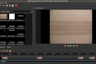 Openshot 2.3.4